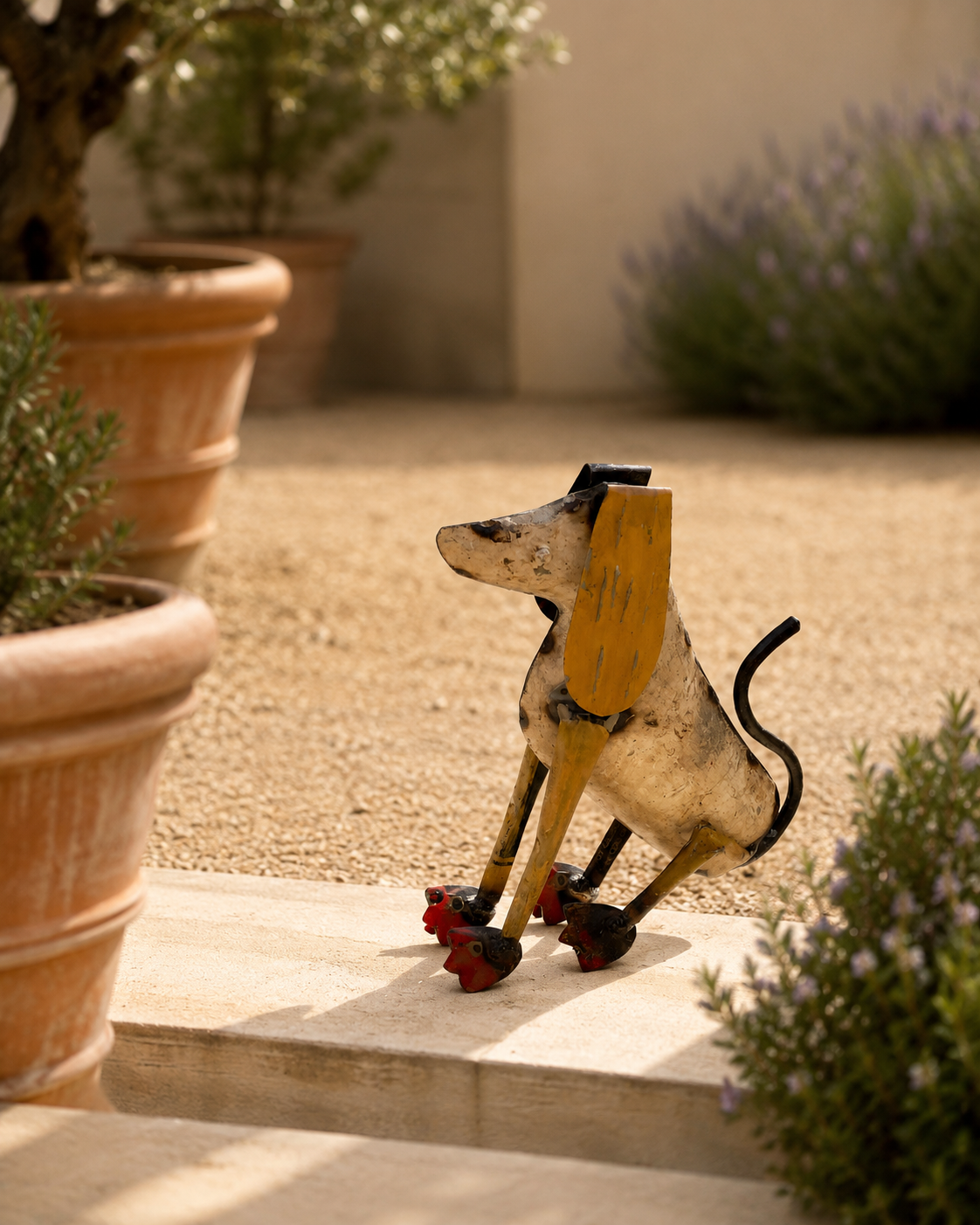 Dog