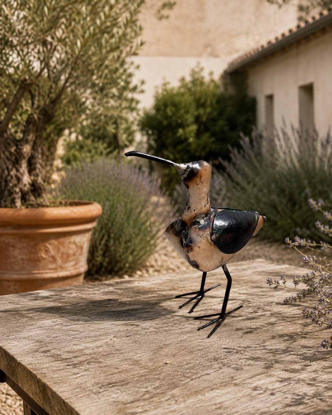 Bird